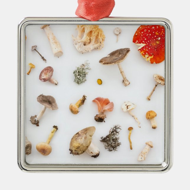Mushrooms Fungus Metal Ornament (Front)