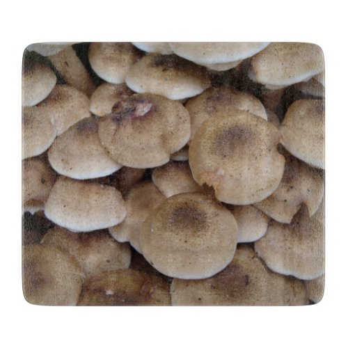 Mushrooms growing in a cluster original photo art cutting board