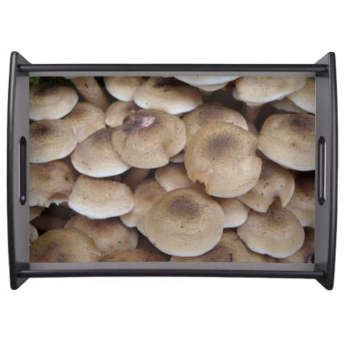 Mushrooms growing in a cluster original photo art serving tray