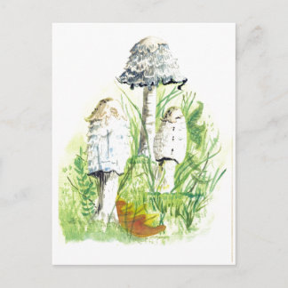 Mushrooms in Nature - Water Color Art Postcard