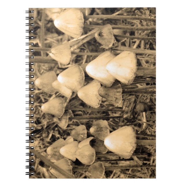 Mushrooms in sepia notebook (Front)