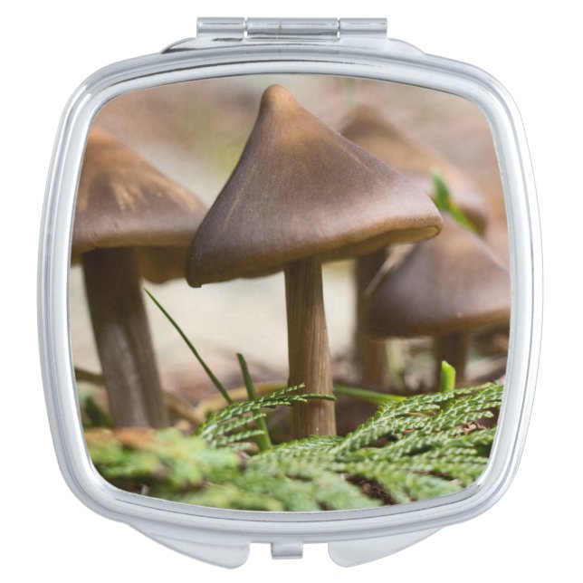 Mushrooms in the Forest  Compact Mirror (Front)