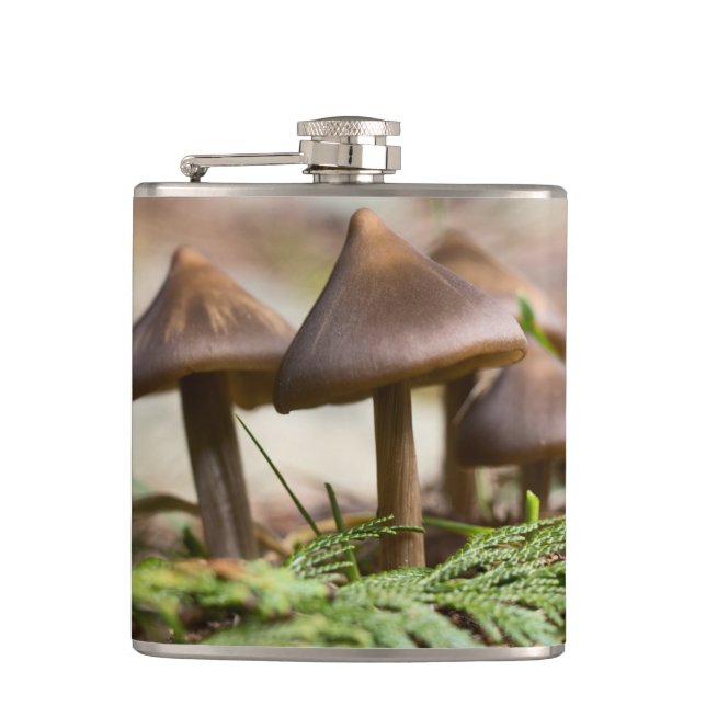 Mushrooms in the Forest  Flask (Front)