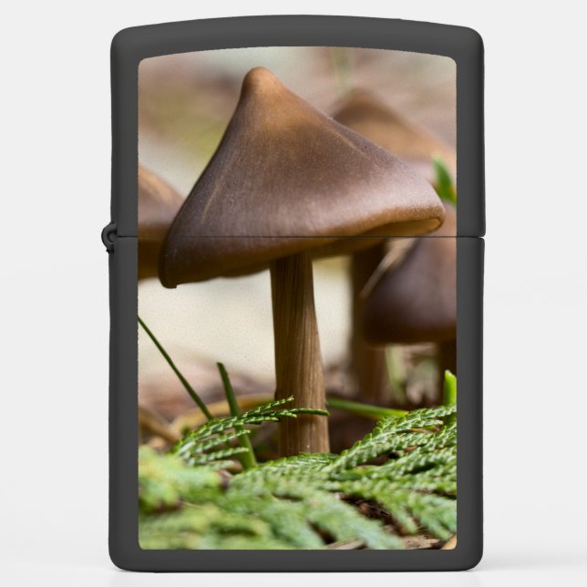 Mushrooms in the Forest  Zippo Lighter (Front)
