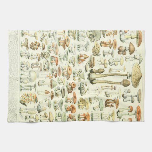 Mushrooms Kitchen Towels