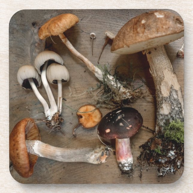 Mushrooms  Love Fungi Beverage Coaster (Front)