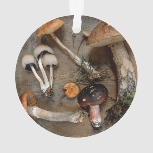Mushrooms  Love Fungi Ornament