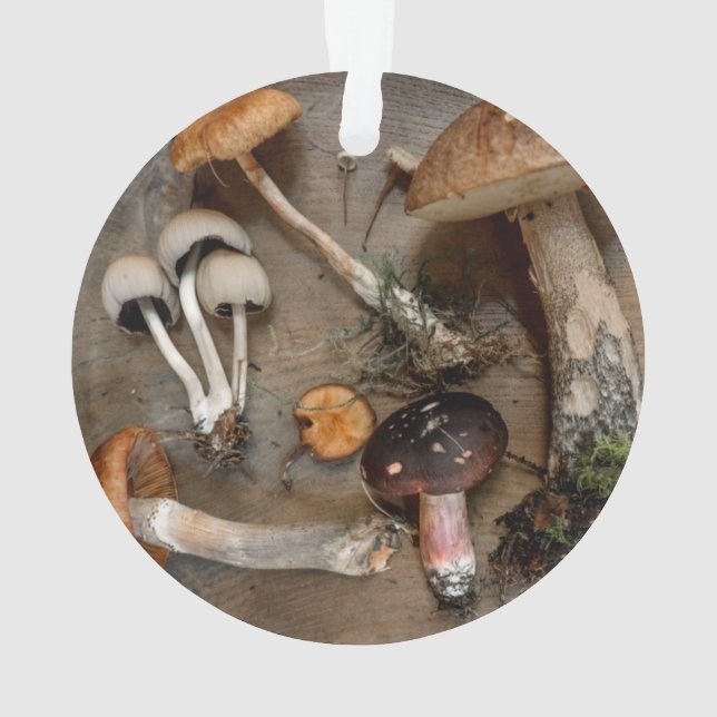 Mushrooms  Love Fungi Ornament (Back)
