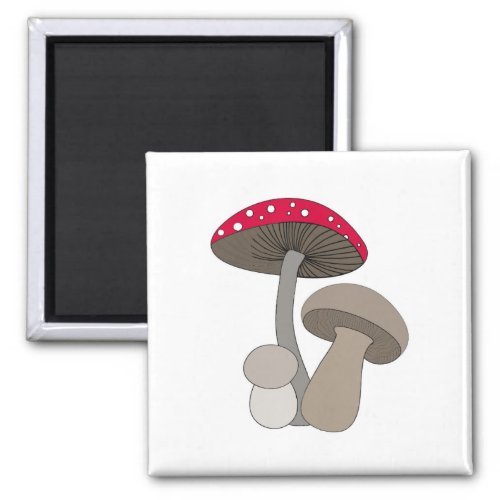 Mushrooms Magnet