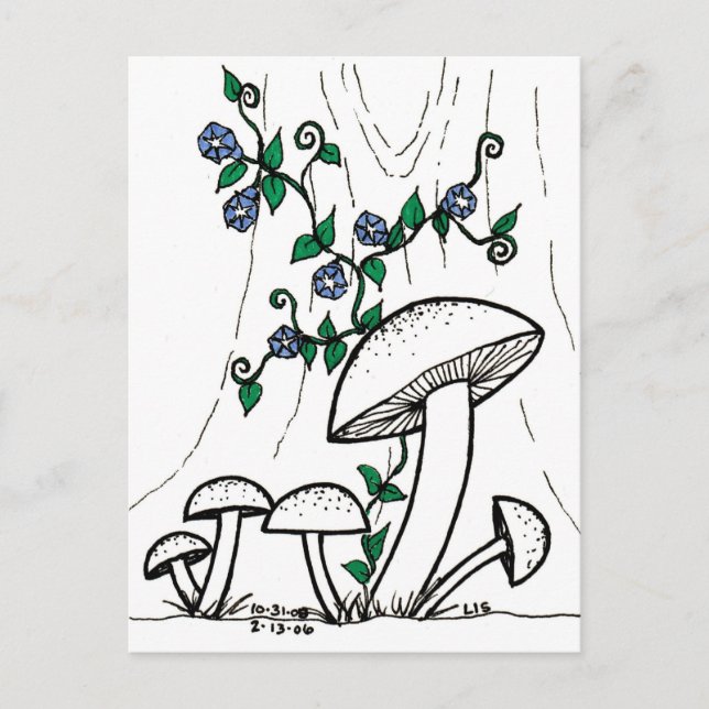 Mushrooms & Morning Glories postcard (Front)