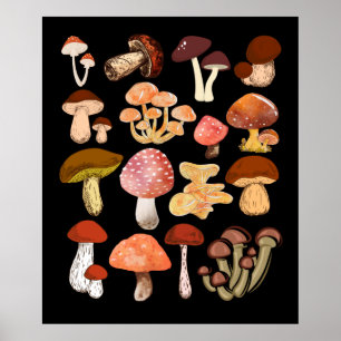 Mushrooms Mycologist botanical mushroom hunting Poster