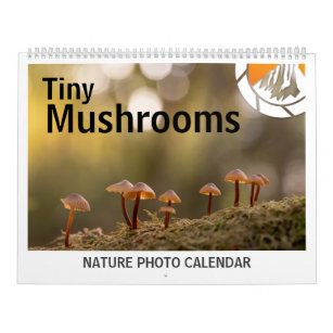 Mushrooms Nature Photos 2024 Calendar
