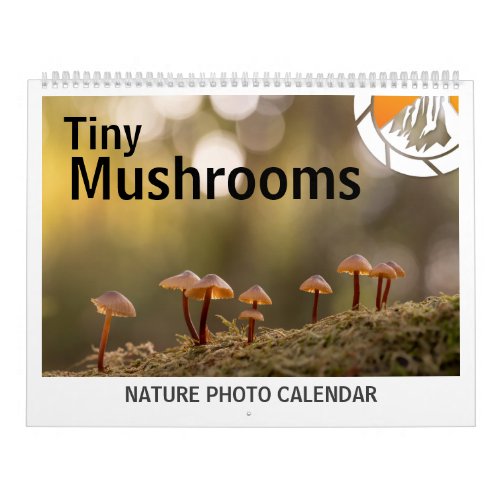 Mushrooms Nature Photos 2025 Calendar