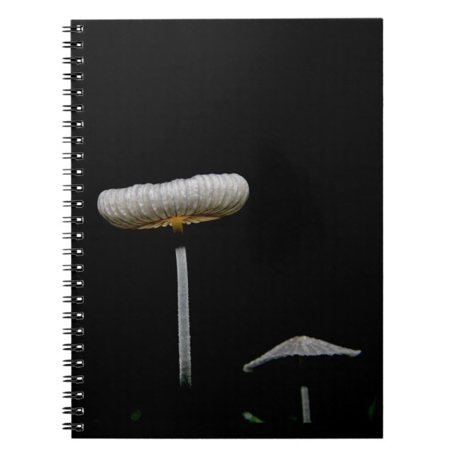 Mushrooms  notebook (Front)