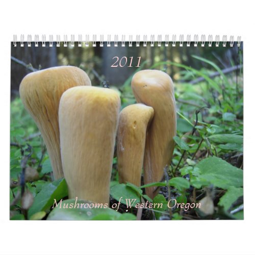 Mushrooms of Western Oregon 2011 Calendar