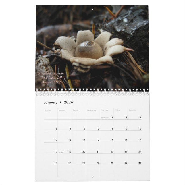 Mushrooms of Western Oregon, 2011 Calendar (Jan 2026)
