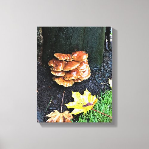 Mushrooms on a Tree Oregon Canvas Print