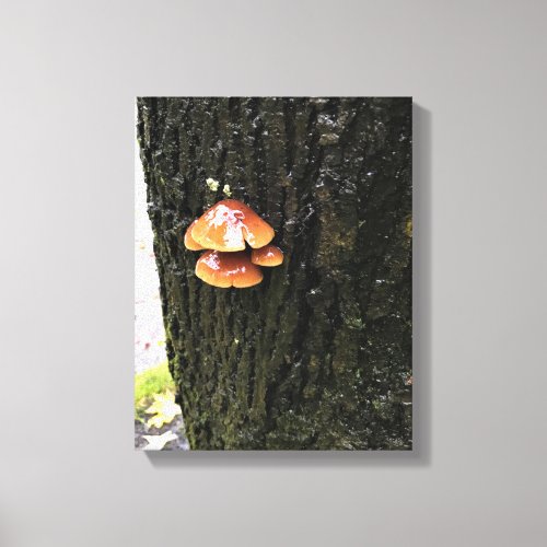 Mushrooms on a Tree Oregon Canvas Print