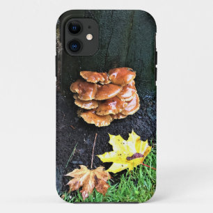 Mushrooms on a Tree, Oregon iPhone 11 Case