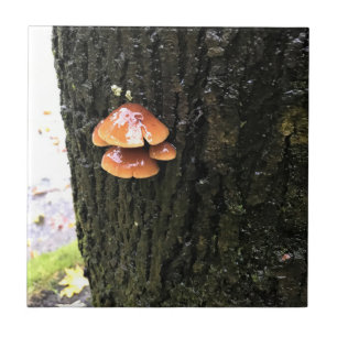 Mushrooms on a Tree, Oregon Ceramic Tile