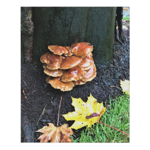 Mushrooms on a Tree Oregon Faux Canvas Print