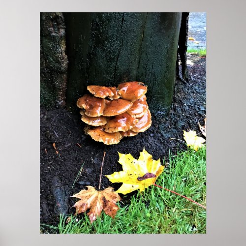 Mushrooms on a Tree Oregon Poster