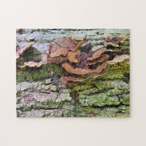 Mushrooms on Fallen Tree Jigsaw Puzzle