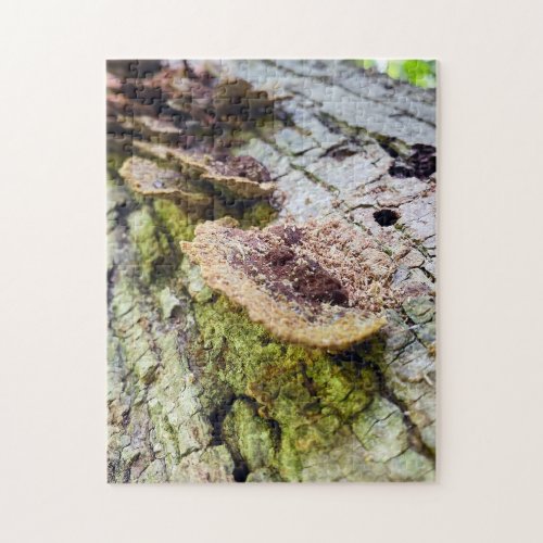 Mushrooms on Fallen Tree Jigsaw Puzzle