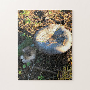 Mushrooms, Oregon Jigsaw Puzzle