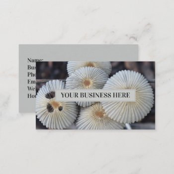 Mushrooms Outdoor Fungus Sprouting Mushroom Business Card by camcguire at Zazzle