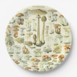 Mushrooms Paper Plate at Zazzle
