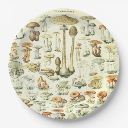Mushrooms Paper Plate