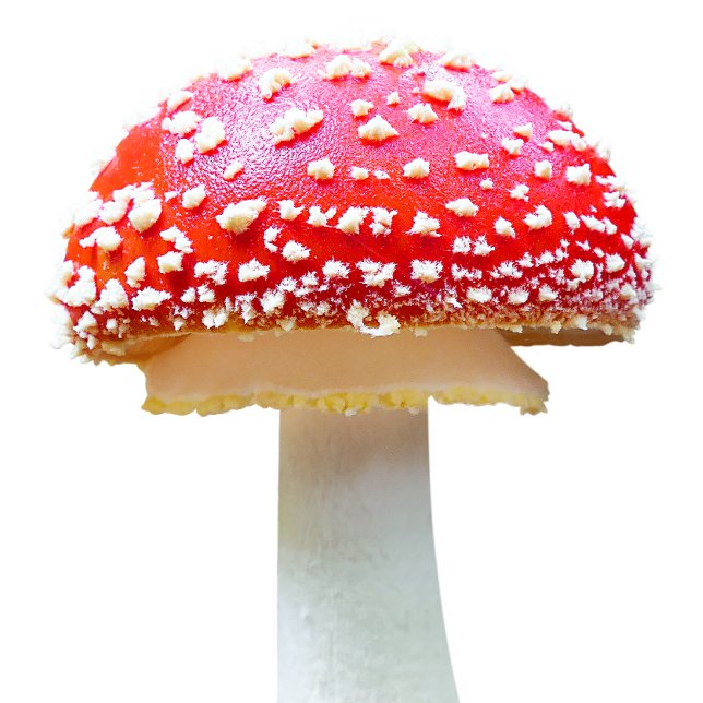 Mushrooms Pattern Apron | Red Mushroom Art (Creator Uploaded)