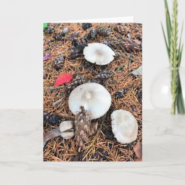 Mushrooms & Pine Cones Card (Front)