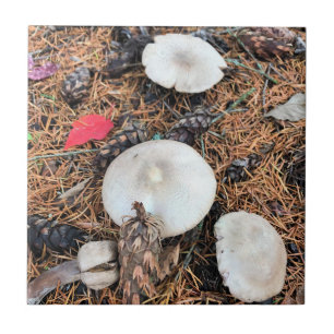 Mushrooms & Pine Cones Ceramic Tile