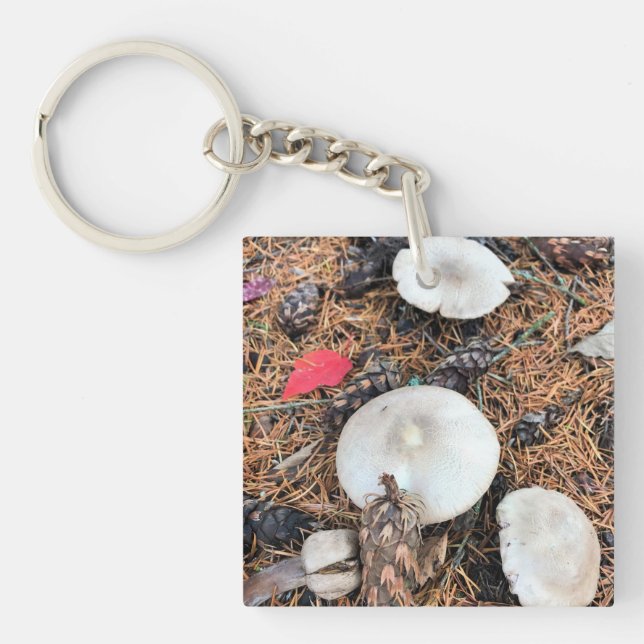 Mushrooms & Pine Cones Keychain (Front)