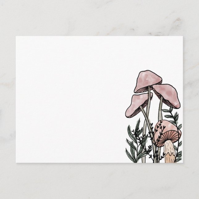 Mushrooms  postcard (Front)
