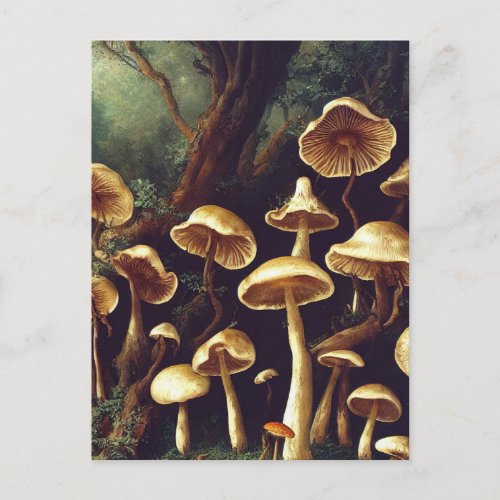 Mushrooms Postcard