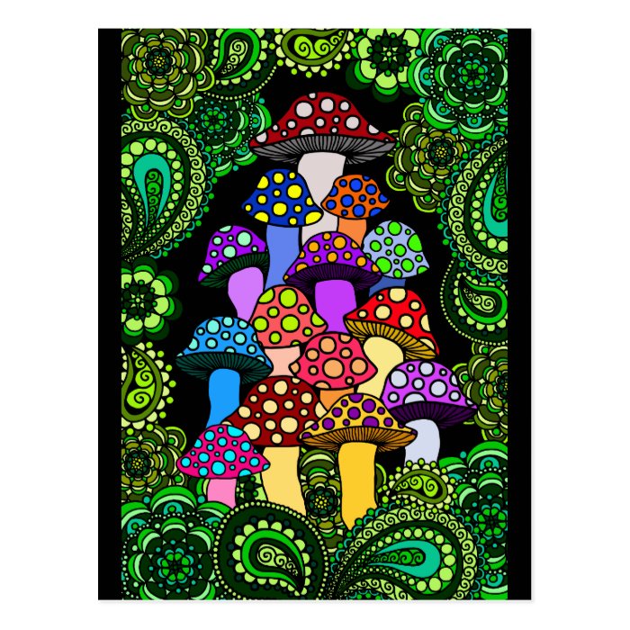 Mushrooms Postcard