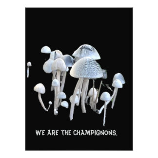 Mushrooms Poster