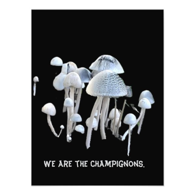 Mushrooms Poster (Front)