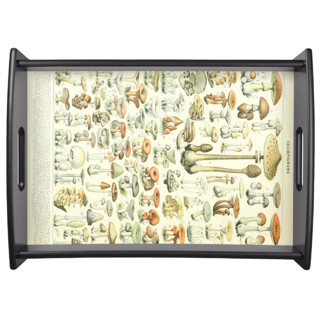 Mushrooms Serving Tray (Front)