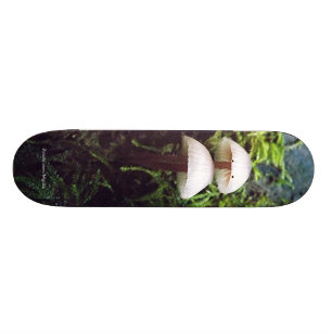 Mushrooms Skateboard Deck