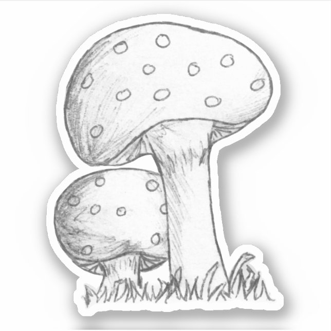 Mushrooms Sketch Sticker (Front)