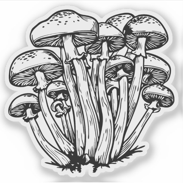  Mushrooms  Sticker (Front)