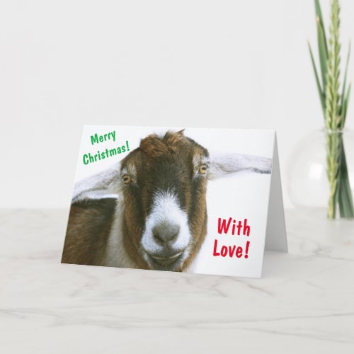 Mushy Romantic Goat Christmas Holiday Card