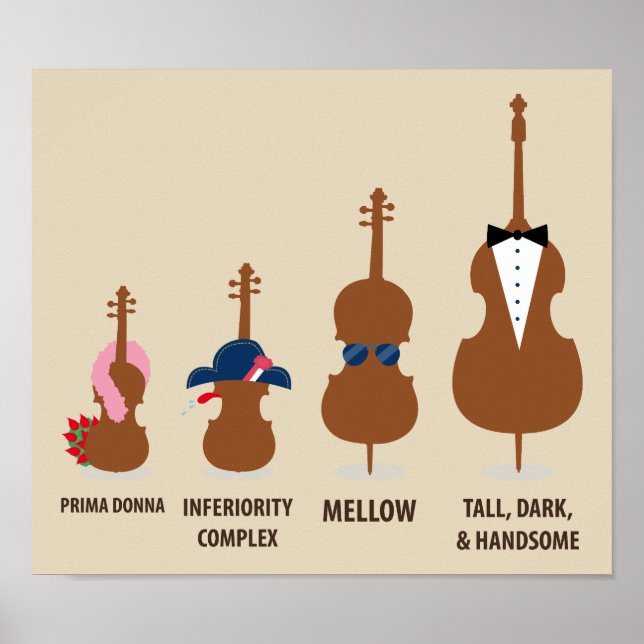Music Gift String Instrument Family Poster (Front)