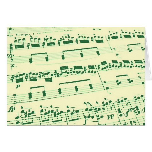 Music Major/Student/Teacher (Front Horizontal)