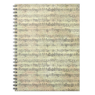 music note Pattern Music Theme Notebook