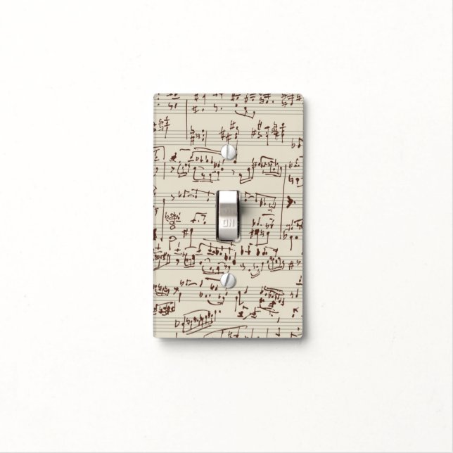 Music notes light switch cover (In Situ)